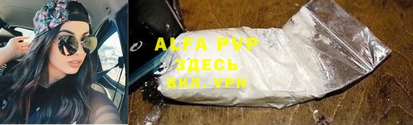дживик Надым