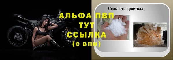 дживик Надым