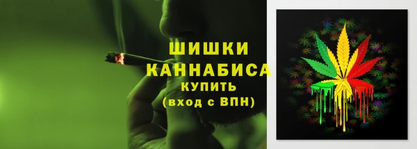 дживик Надым