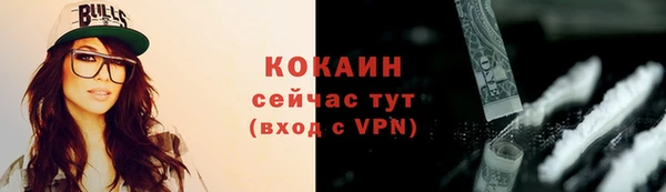 дживик Надым