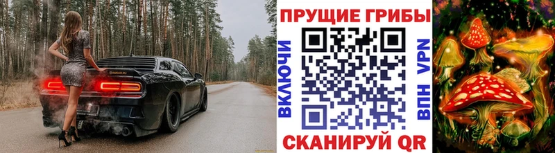 Галлюциногенные грибы Psilocybine cubensis  цены   Шумерля 