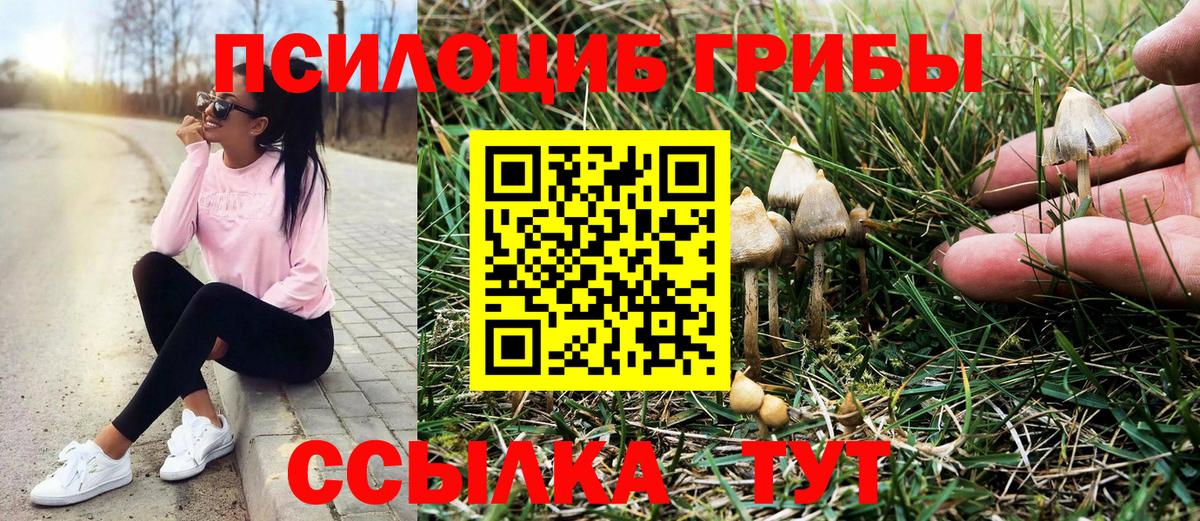 Шумерля  Галлюциногенные грибы мухоморы  Псилоцибиновые грибы мухоморы  Вход с VPN 